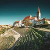 rajska-vinice-01